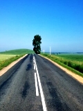 Example content image